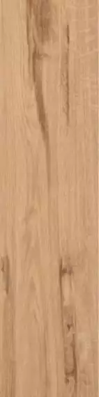 Rovere Antico 10x40